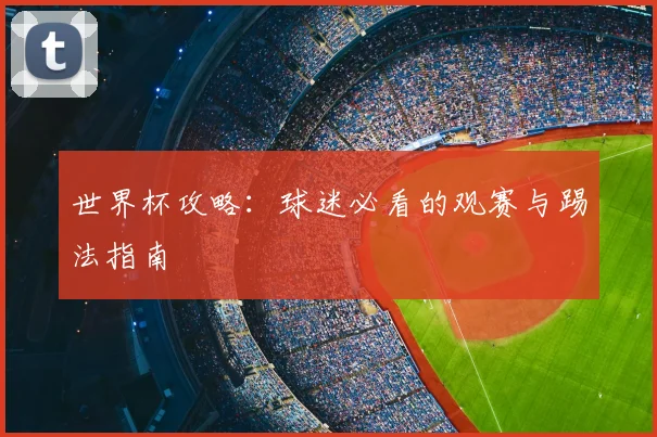 世界杯攻略：球迷必看的观赛与踢法指南