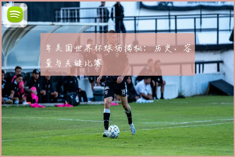 年美国世界杯球场揭秘:历史、容量与关键比赛