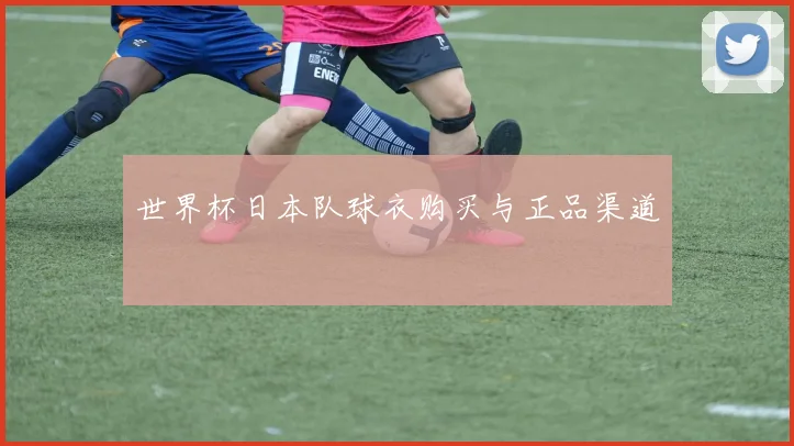 世界杯日本队球衣购买与正品渠道