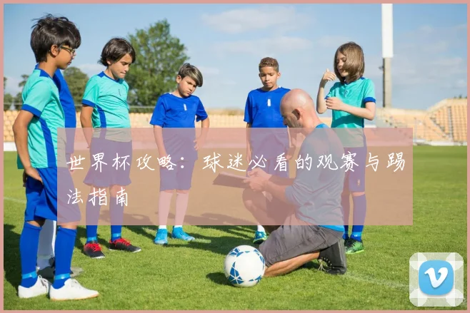 世界杯攻略：球迷必看的观赛与踢法指南